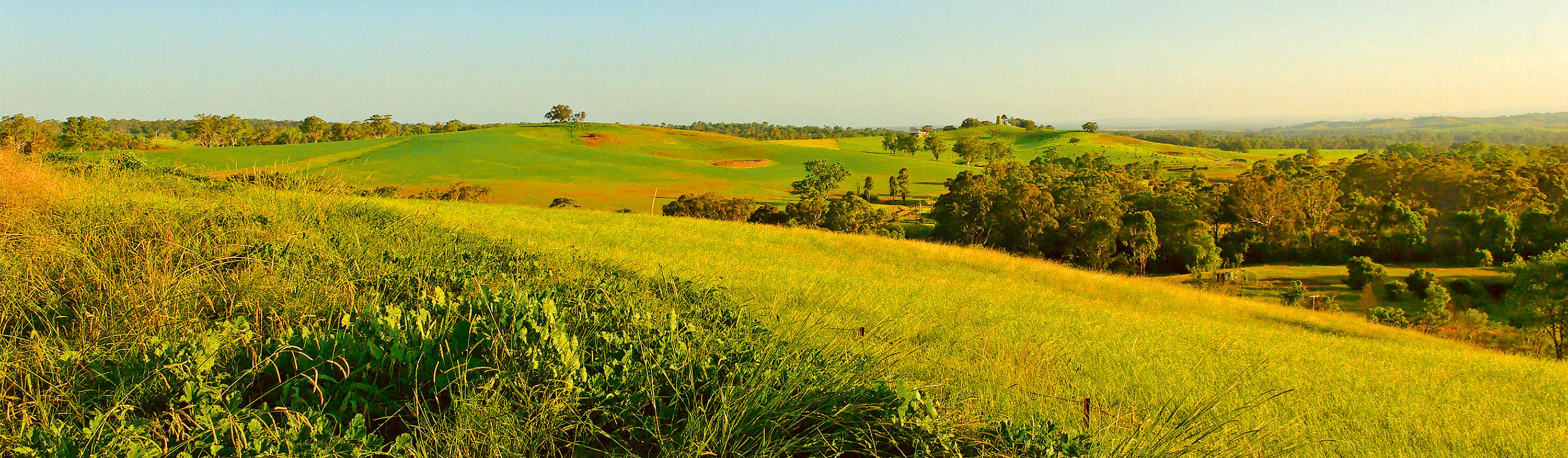 view from Viceroy greenfield development – photo by GBD